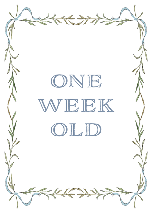 Boy Milestone Cards